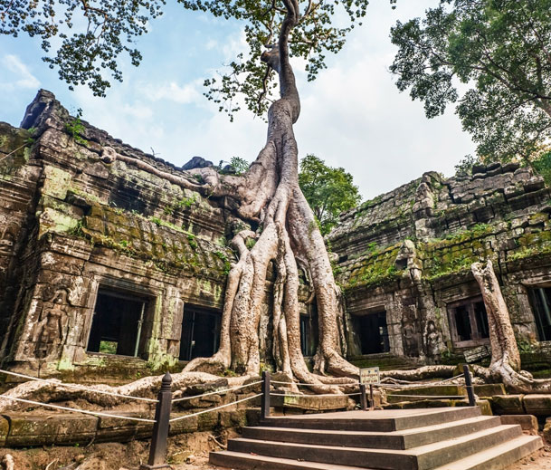 Cambodia- Tour 2